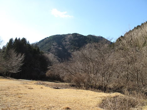 20190121hike (215)